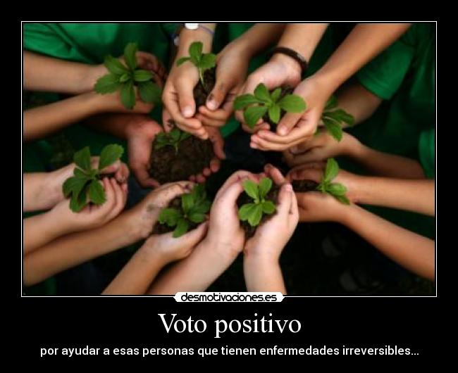 Voto positivo -