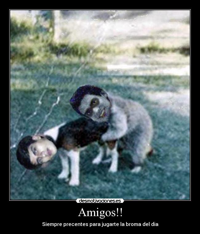 Amigos!! - 