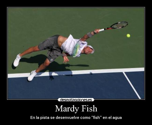 Mardy Fish -