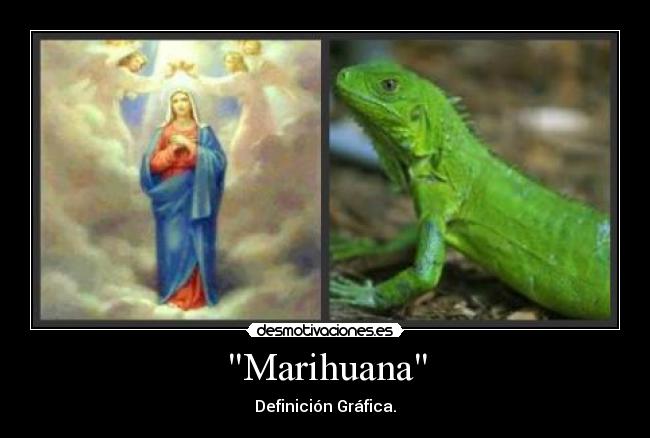 Marihuana - 
