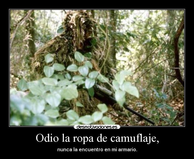 Odio la ropa de camuflaje, - nunca la encuentro en mi armario.
