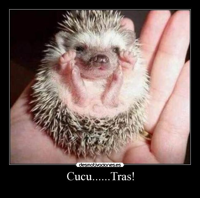 Cucu......Tras! -