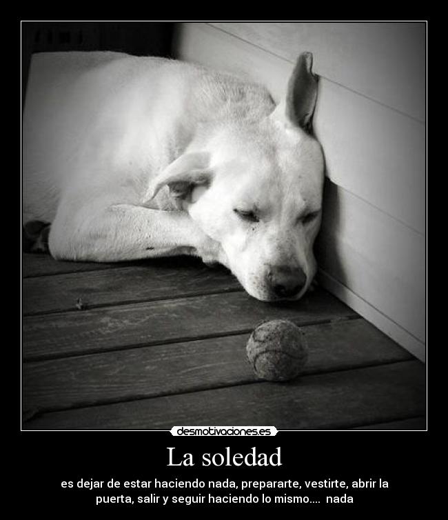 La soledad - 