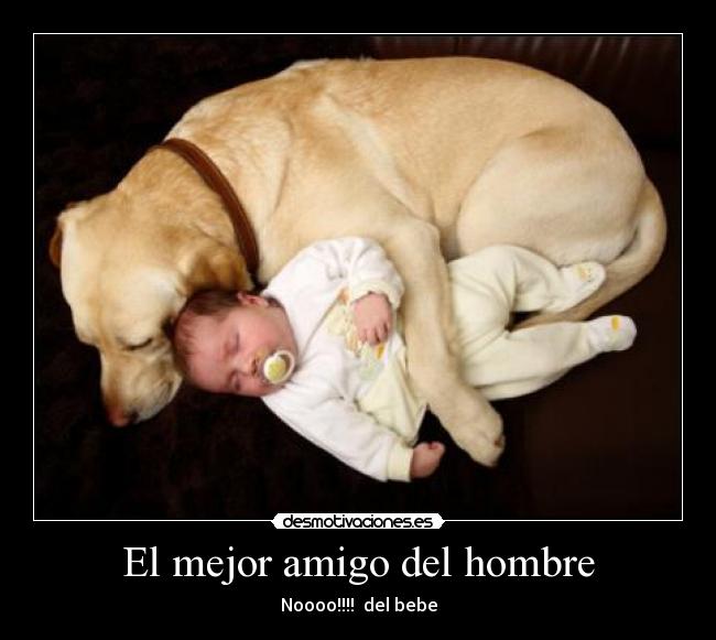 El mejor amigo del hombre - Noooo!!!!  del bebe