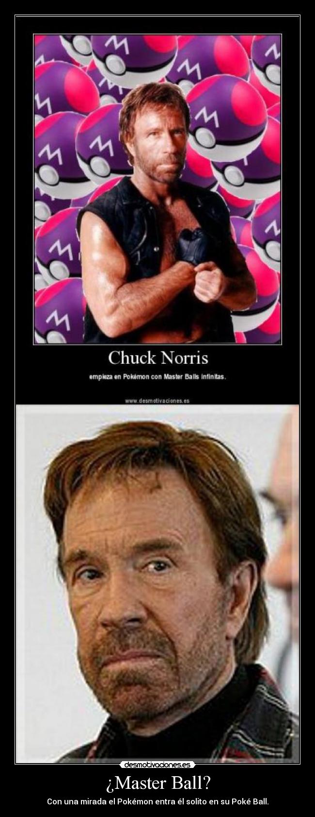 ¿Master Ball? - Con una mirada el Pokémon entra él solito en su Poké Ball.