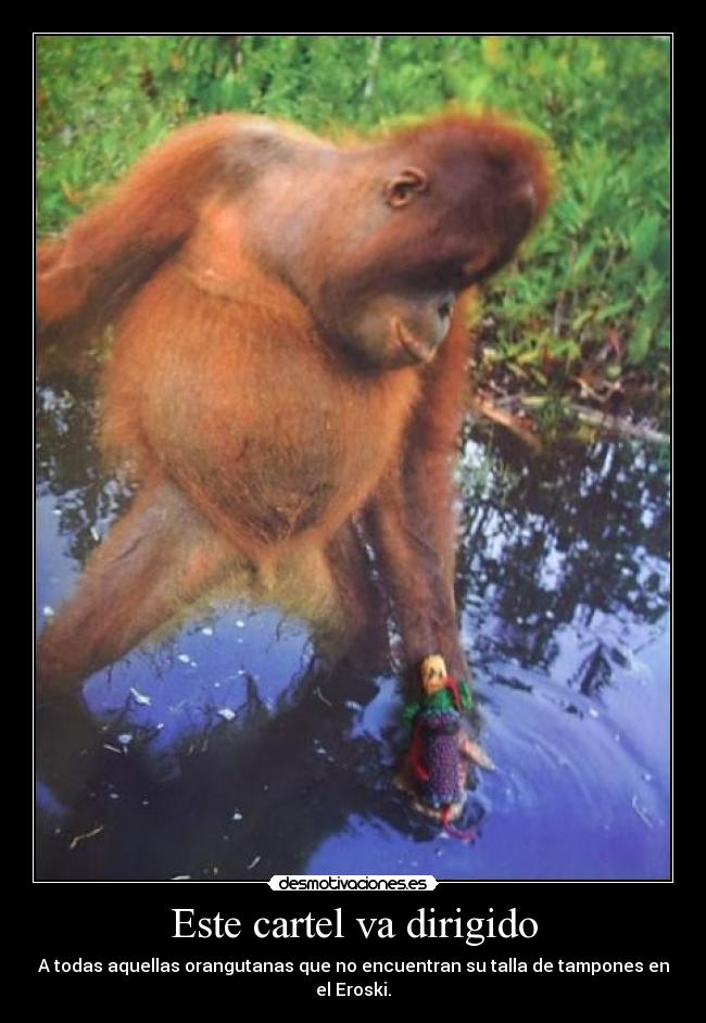 Este cartel va dirigido - A todas aquellas orangutanas que no encuentran su talla de tampones en el Eroski.