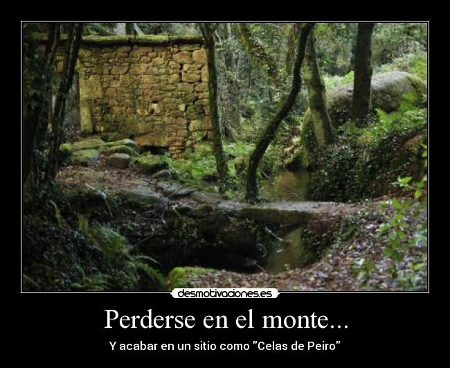 Perderse en el monte... -