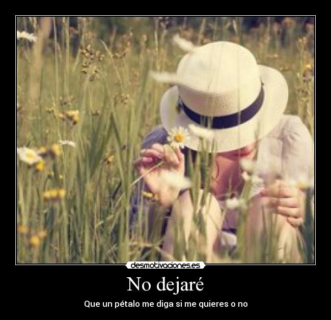 No dejaré - Que un pétalo me diga si me quieres o no