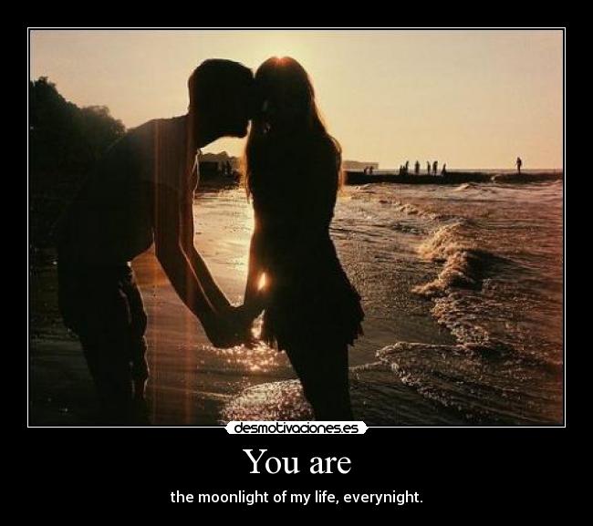 You are - the moonlight of my life, everynight.
