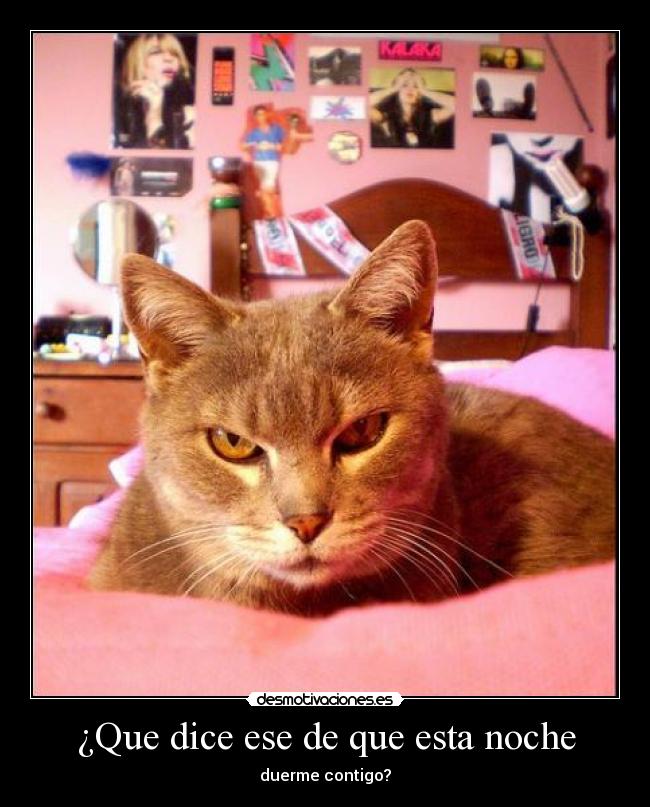 ¿Que dice ese de que esta noche - 