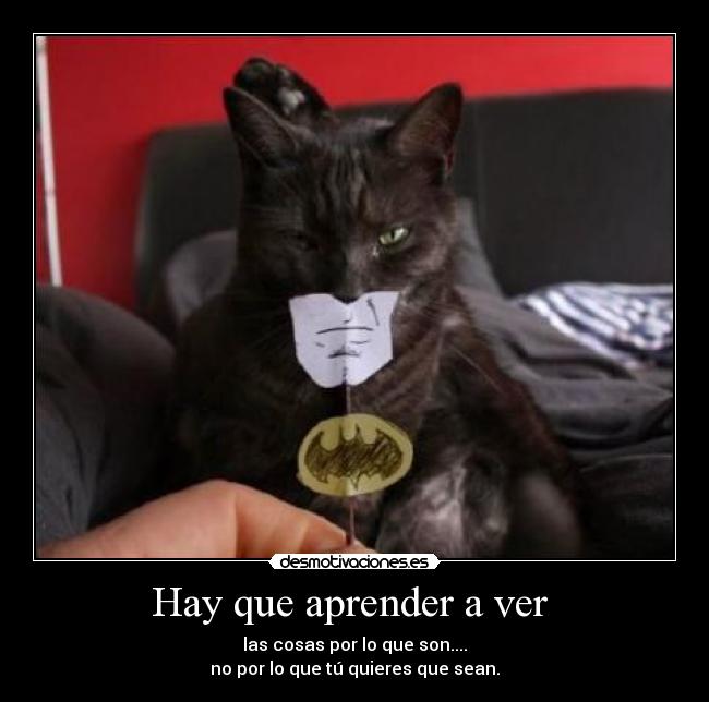 Hay que aprender a ver -