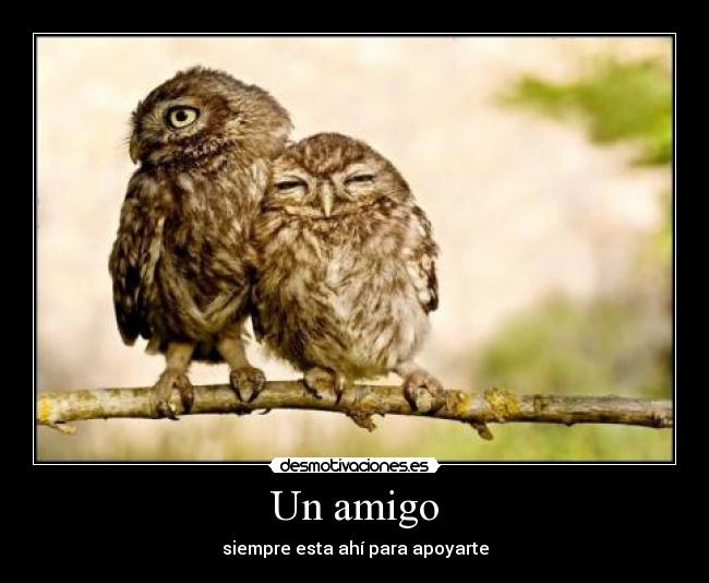 Un amigo -