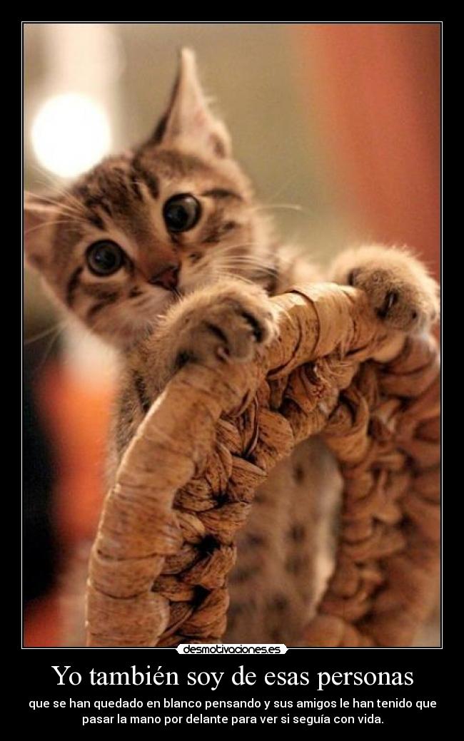 Yo también soy de esas personas - que se han quedado en blanco pensando y sus amigos le han tenido que
pasar la mano por delante para ver si seguía con vida.