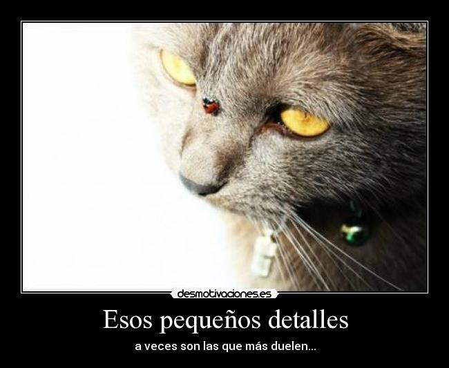 Esos pequeños detalles - a veces son las que más duelen...