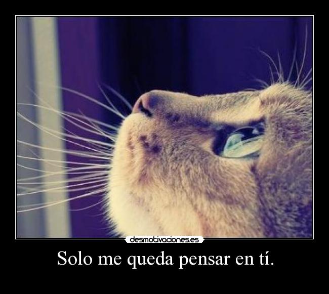 Solo me queda pensar en tí. -