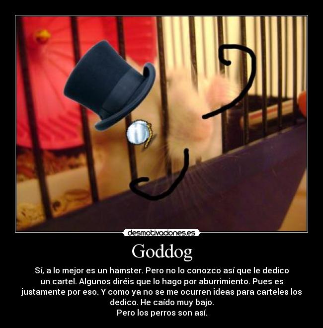 Goddog - Sí, a lo mejor es un hamster. Pero no lo conozco así que le dedico
un cartel. Algunos diréis que lo hago por aburrimiento. Pues es
justamente por eso. Y como ya no se me ocurren ideas para carteles los
dedico. He caído muy bajo.
Pero los perros son así.