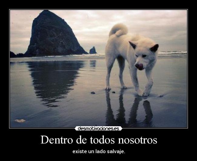 Dentro de todos nosotros - existe un lado salvaje.