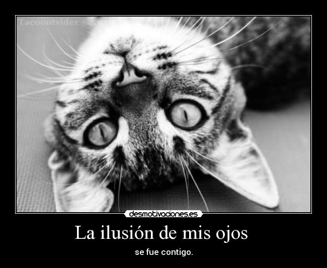 La ilusión de mis ojos  - 