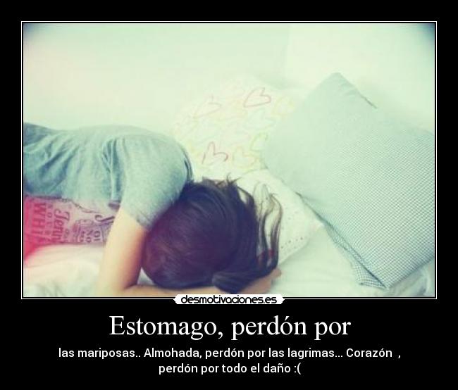 Estomago, perdón por - las mariposas.. Almohada, perdón por las lagrimas... Corazón ♥,
perdón por todo el daño :(