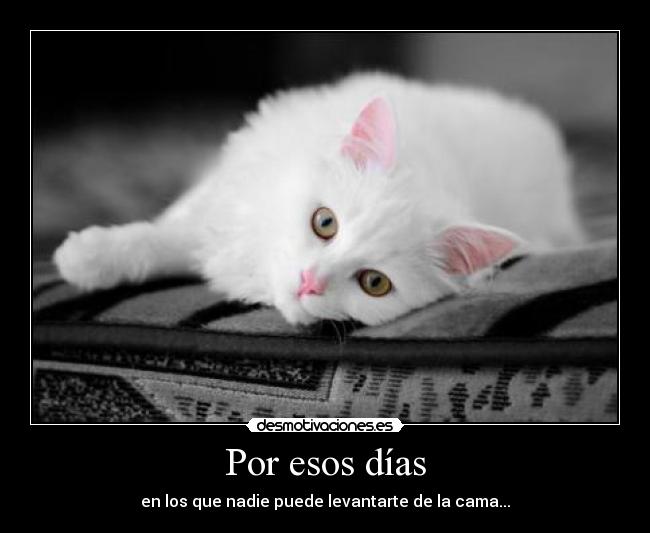 Por esos días - en los que nadie puede levantarte de la cama...