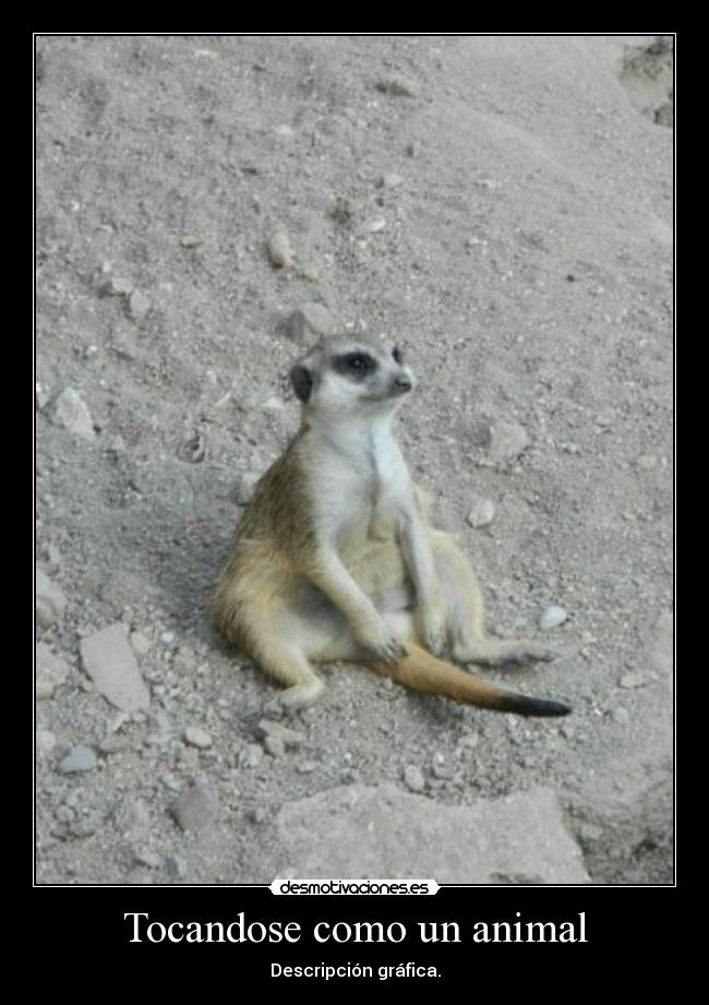 Tocandose como un animal -
