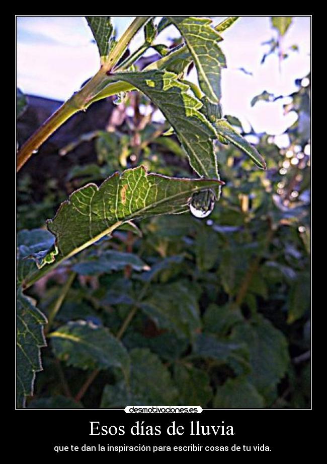 Esos días de lluvia -