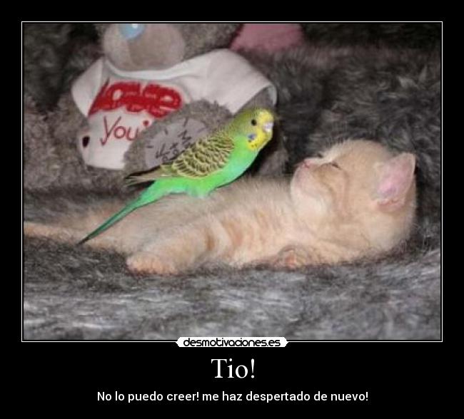 Tio! - No lo puedo creer! me haz despertado de nuevo!