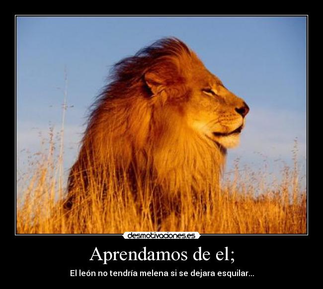 Aprendamos de el; -