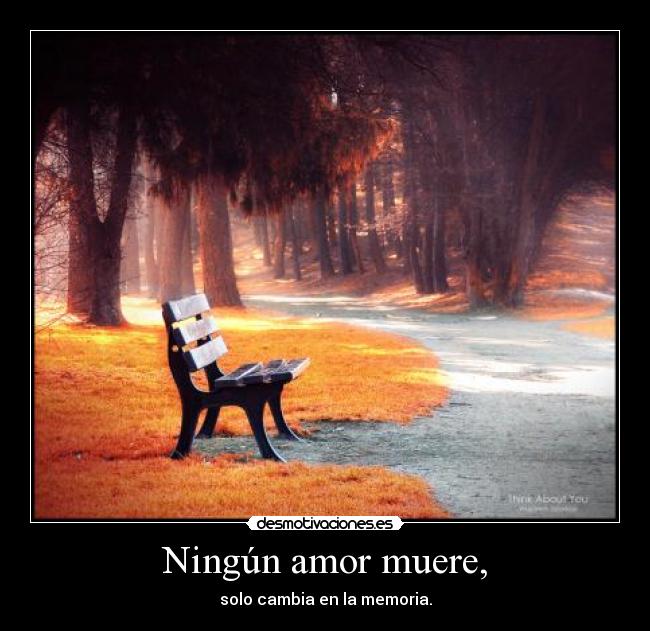 Ningún amor muere, -