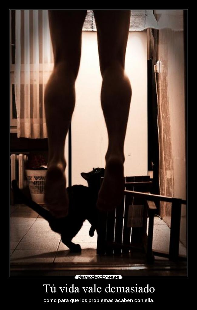 Tú vida vale demasiado - 