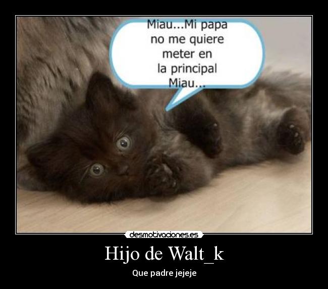 Hijo de Walt_k - 