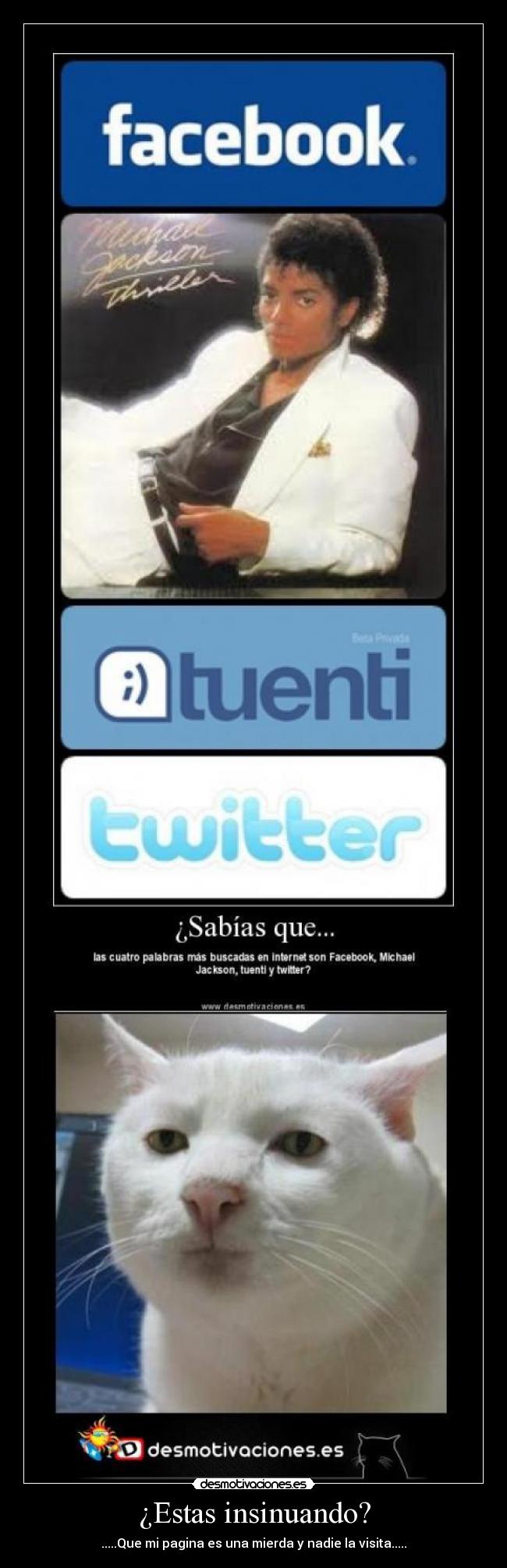 ¿Estas insinuando? - 