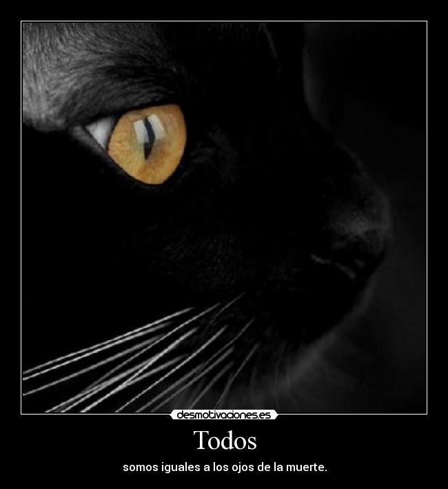 Todos - 