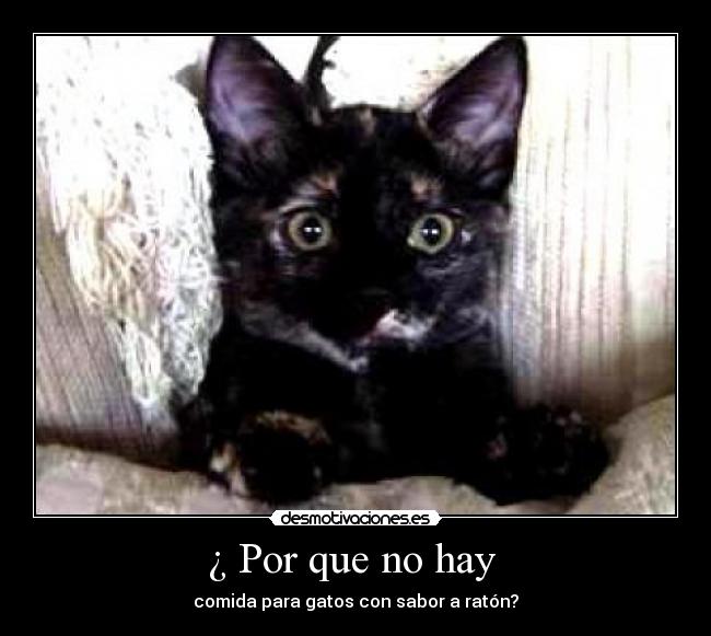 carteles por que desmotivaciones