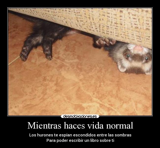 Mientras haces vida normal -