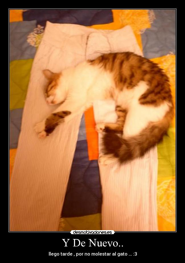 Y De Nuevo.. - llego tarde , por no molestar al gato ... :3