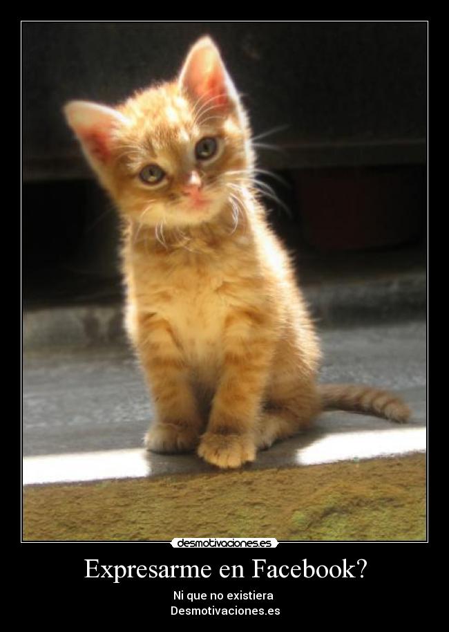 Expresarme en Facebook? - Ni que no existiera 
Desmotivaciones.es