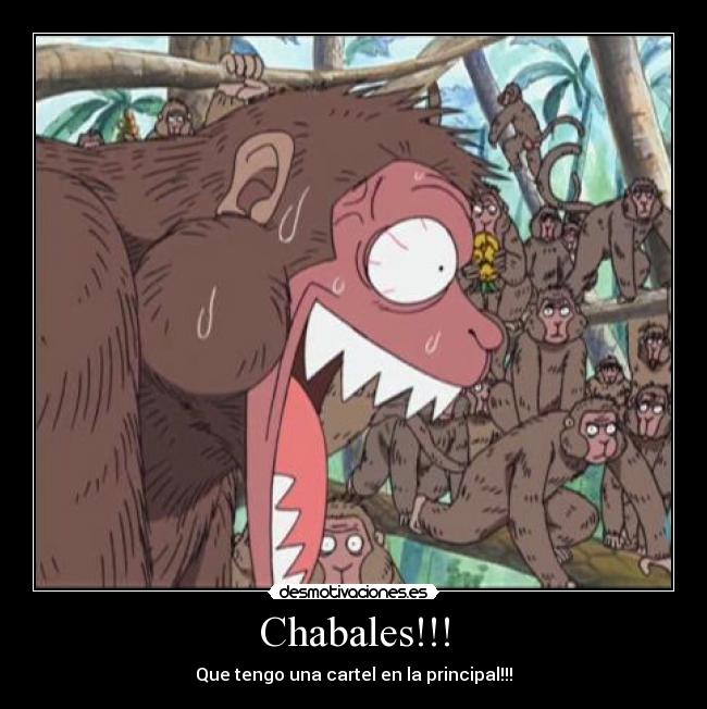 carteles reacciones tipicas desmotivaciones