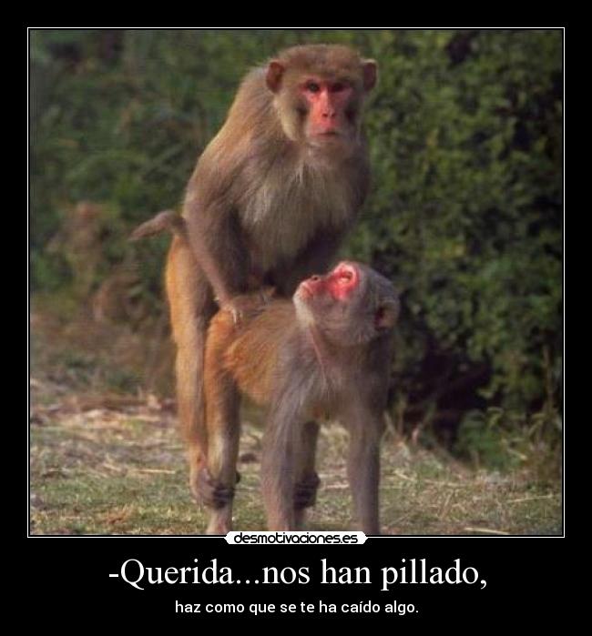 -Querida...nos han pillado, - haz como que se te ha caído algo.