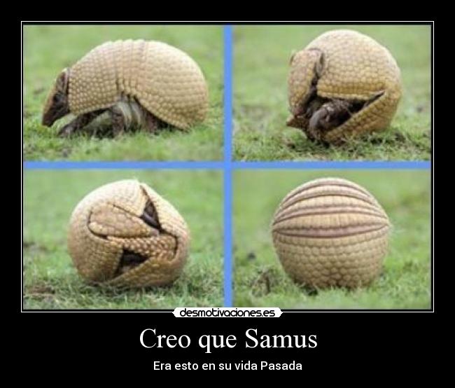 Creo que Samus - Era esto en su vida Pasada