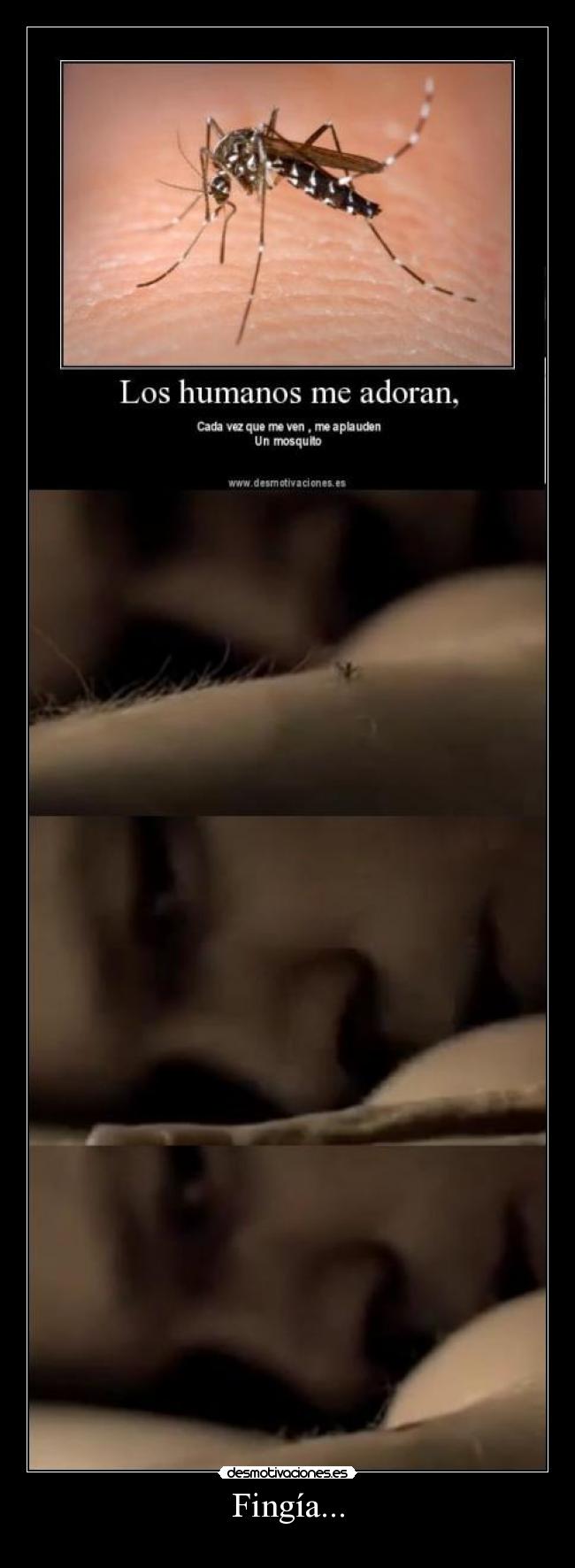 carteles dexter asesino mosquitos desmotivaciones