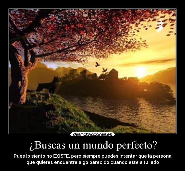¿Buscas un mundo perfecto? -