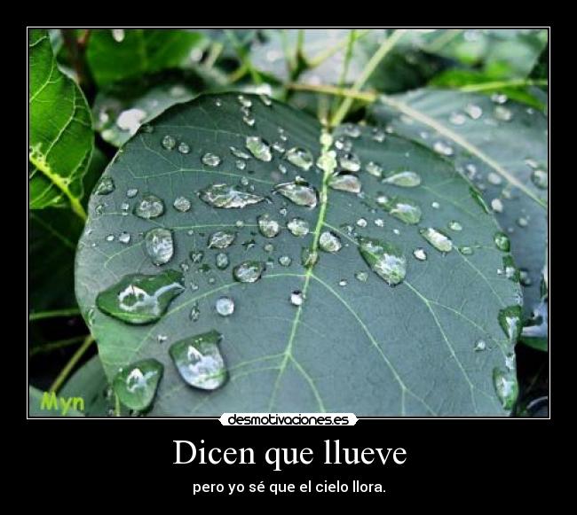 Dicen que llueve - 