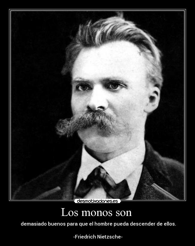 Los monos son -