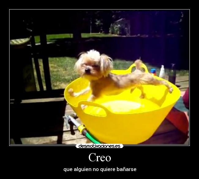 Creo - 