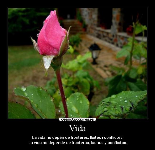 Vida - La vida no depèn de fronteres, lluites i conflictes.
La vida no depende de fronteras, luchas y conflictos.