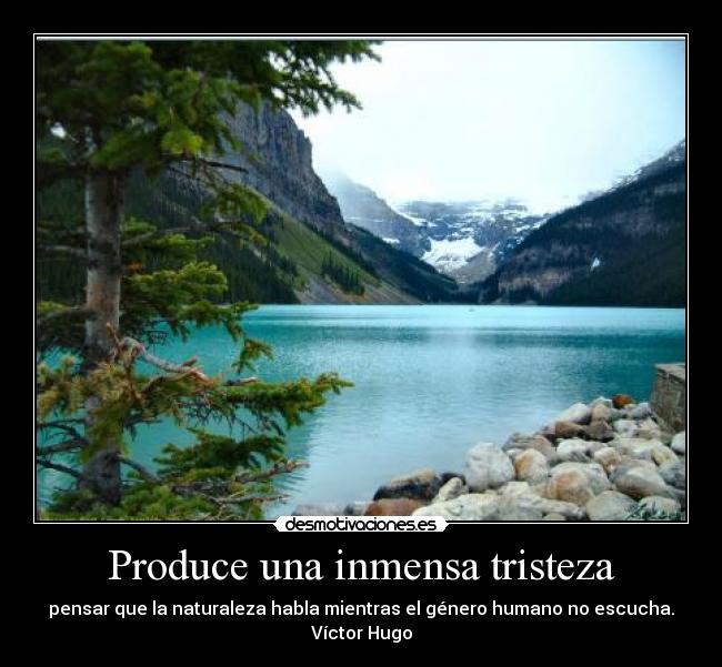 Produce una inmensa tristeza -