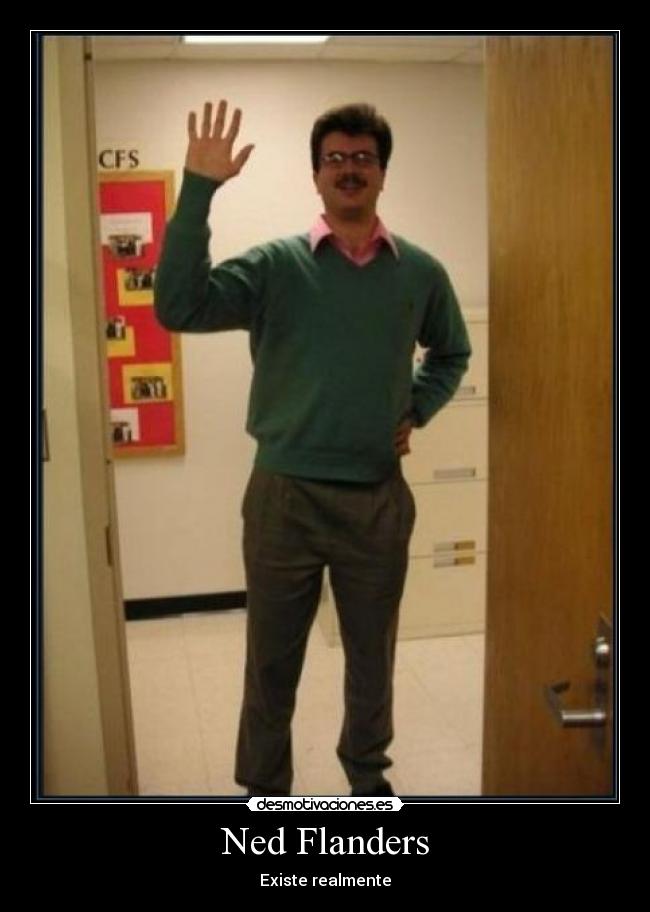 Ned Flanders -