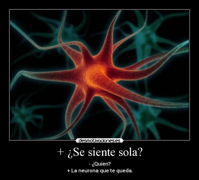 + ¿Se siente sola? - - ¿Quien?
+ La neurona que te queda.