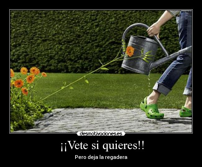 ¡¡Vete si quieres!! - 